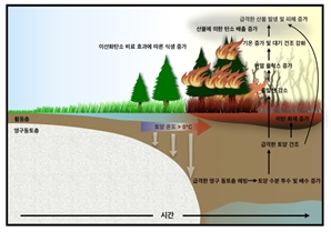 지구온난화로 북극 산불 심해진다…탄소 배출 악순환 우려