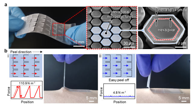개발된 프로그래머블 메타 패치. 프로그래머블 메타 패치의 사진 및 육각 마이크로 구조물 SEM 이미지(위)와 박리 방향에 따른 프로그래머블 메타 패치의 접착 강도 변화. 연구그림=유니스트