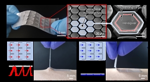'피부 자극 없이 몸에 찰싹' 초강력 접착 패치 개발