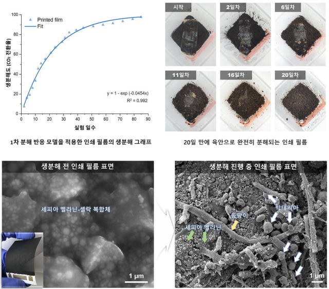 KAIST 연구팀의 세피아 멜라닌 기반 전기 활성 필름 생분해 실험 내용. 사진 제공=KAIST