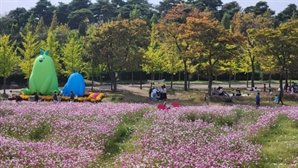 '청명한 가을, 국화와 함께'…수도권매립지관리공사 '2024 드림파크 국화축제' 개최