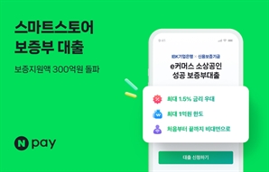 네이버페이, 온라인 사업자 대상 보증부대출 300억 원 돌파