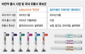 비만약 '위고비' 출시 임박… 경쟁약 국내 유통 수혜 기업은 어디?