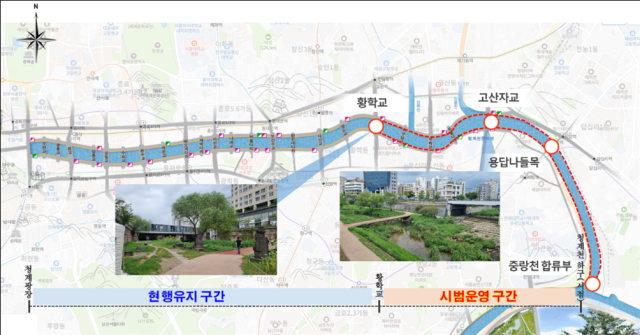 청계천 반려견 산책 허용…연말까지 4.1㎞ 시범 적용