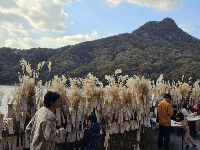 명성산 억새꽃 축제. 사진 제공 = 경기관광공사