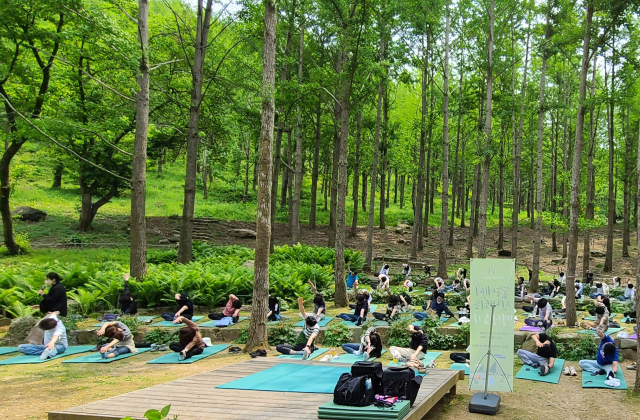 경기도 용인 에버랜드의 '포레스트 캠프'에서 방문객들이 요가를 하고 있다. 사진 제공=에버랜드