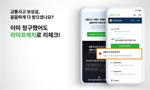 그린리본, 놓친 보험 모두 찾아주는 '교통사고 보상금 찾기' 출시