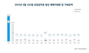 상업용 건물 시장도 양극화 뚜렷…서울·인천 거래량 증가