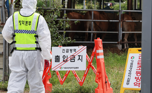 지난달 19일 럼피스킨이 발생한 경기도 여주시 한우농가에서 관계자들이 출입을 통제하고 있다. 연합뉴스