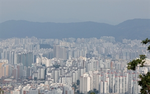 "내 돈 한푼 안들이고 21억 아파트 구매"…수도권 이상거래 397건 적발