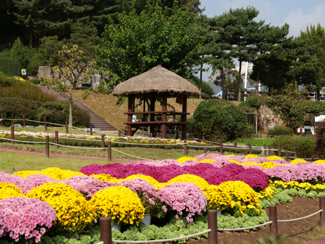 용인농촌테마파크. 사진 제공 = 용인시