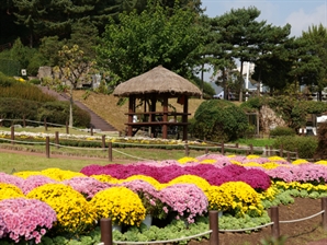 용인시, 12~13일 농촌테마파크서 '도농어울림 축제'