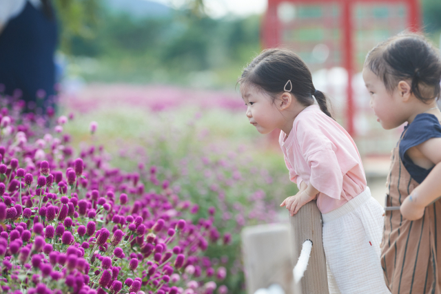 경기 양주시 나리공원을 찾은 어린이 관람객들이 꽃들을 바라보고 있다. 사진 제공=양주시