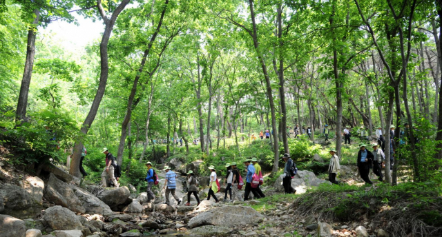 지리산을 찾은 방문객들이 지리산둘레길을 체험하고 있다. 사진제공=산림청