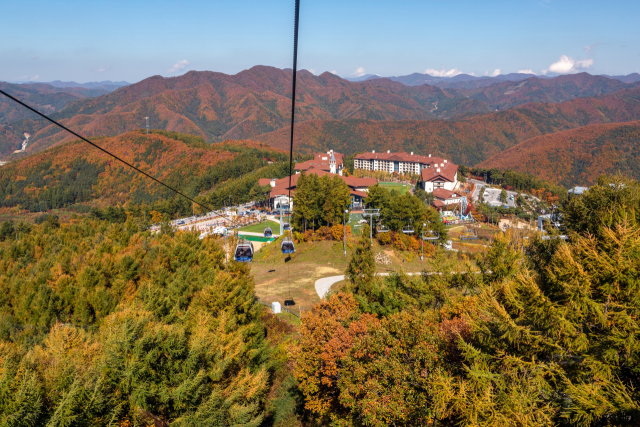 가을 단풍 한 눈에…하이원리조트, 운탄고도 케이블카 패키지 출시