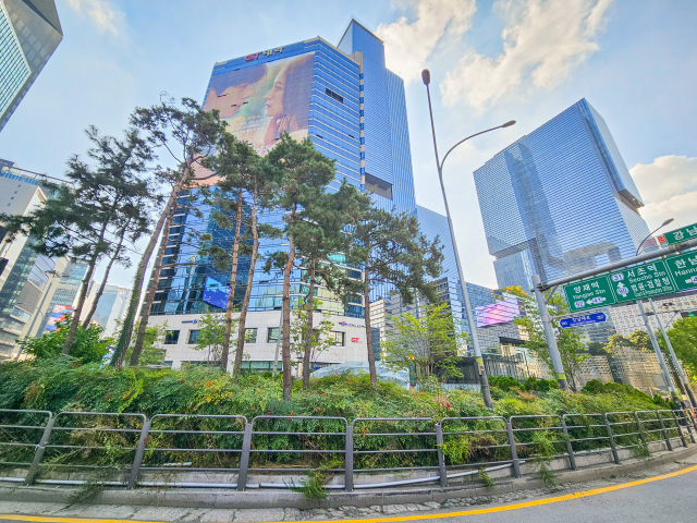 ‘욕설·비방’ 얼룩진 강남역 시민 품으로…서울 서초구, 불법 현수막 철거 완료