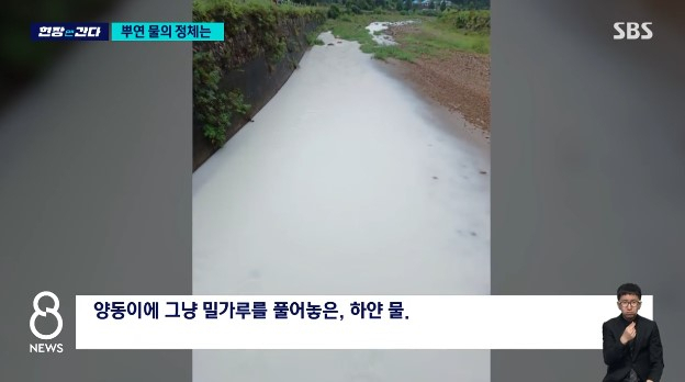 '누가 '밀가루' 풀어놓은 거 아냐?'…비만 오면 하얘지는 하천, 대체 왜?