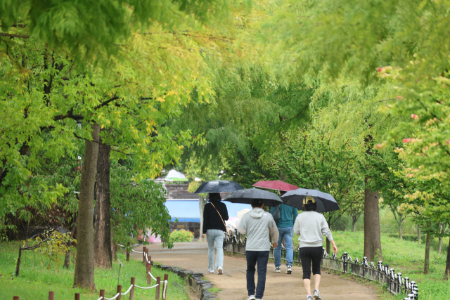 개천절인 3일 시민들이 비가 내리는 대전 서구 한밭수목원에서 산책을 즐기고 있다. 연합뉴스