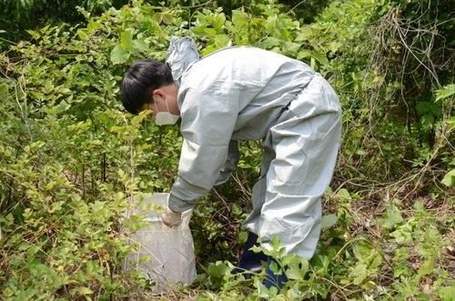 국내에 토착화됐다고?…국내 감염자 급증한 이 질병 '무엇'