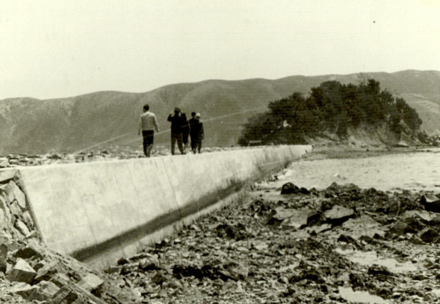 1965년 울산 장생포 죽도 전경. 사진제공=울산시