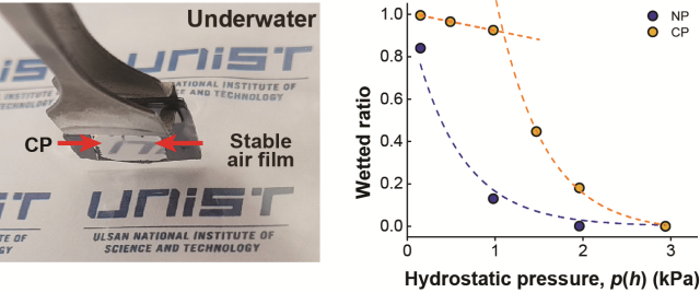 오목 기둥 구조의 수중 젖음 안정성. 수중에 초발수성 표면이 들어갔을 때, 공기층이 갇히면서 거울과 같은 효과를 내며 상을 반사함(왼쪽). 일반 기둥 구조(NP)와 비교했을 때 더 높은 수압에서도 젖음 안정성을 보이는 오목 기둥 구조(CP)(오른쪽). 연구그림=유니스트