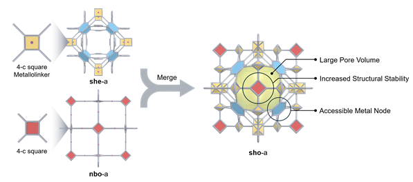 금속화 리간드를 사용한 병합망 금속-유기 골격체 구조의 조립. 연구그림=유니스트