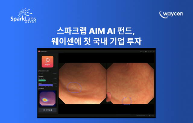 사진제공=스파크랩