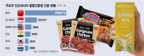 '불닭 맛 라면'…짝퉁 한국 식품이 선점한 할랄시장