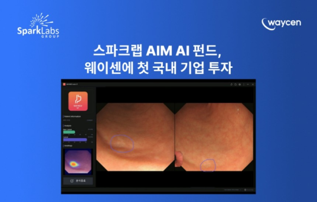 사진 제공=웨이센