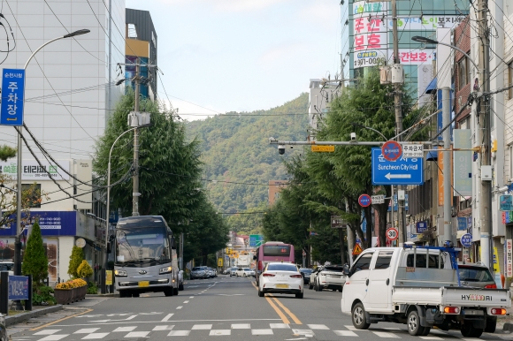 순천시청 앞 도로에 걸려있던 순천대 의대 유치 촉구 현수막이 모두 철거됐다. 사진 제공=독자