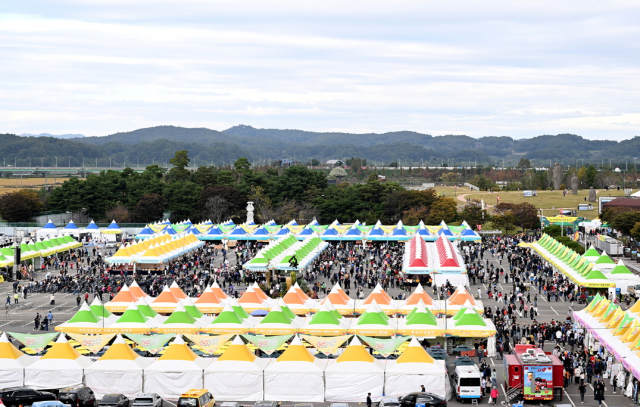 파주개성인삼축제 전경. 사진 제공=파주시