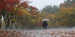 호우주의보 부산에 장대비…도로·강변 산책로 통제