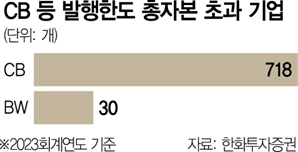 세무당국, 대주주 CB 콜옵션 과세 본격화