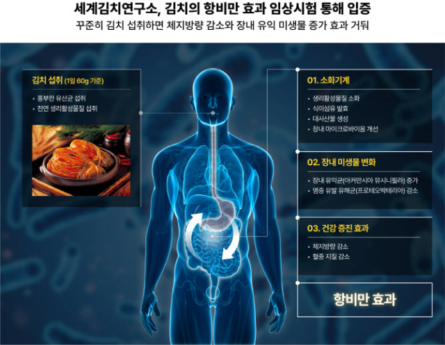 한국인 소울푸드 '이것' 꾸준히 먹으면 살 빠진다고?…'임상시험으로 검증'