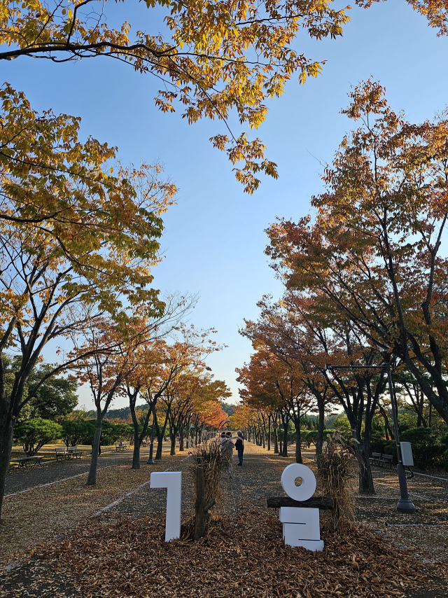 울산체육공원 낙엽산책길. 사진제공=울산시설공단