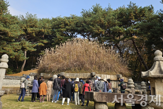 ‘억새로 덮인 왕릉’ 건원릉에서 가을을 만나다