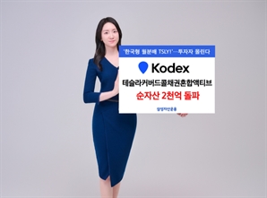 "전기차 캐즘 우려 일정 해소"…테슬라 커버드콜 ETF 순자산 2000억 돌파