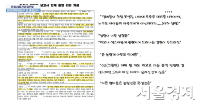 국회방송의 24일 국회 문화체육관광위원회의 국정감사 생중계 화면 갈무리.