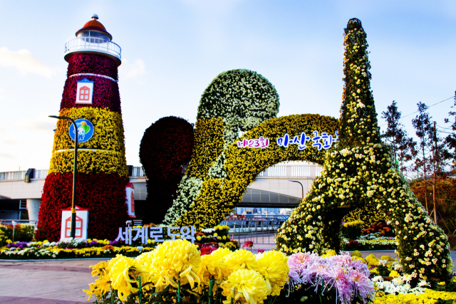 마산가고파국화축제 명칭 두고 시-시민단체 시끌