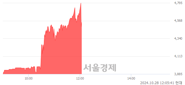 코에코바이오, 현재가 5.01% 급락