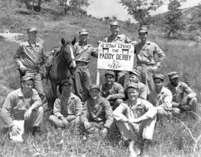 “진정한 해병이었다”…6·25전쟁 영웅‘ 軍馬’ 미 해병대 전설돼 고향 돌아오다[이현호 기자의 밀리터리!톡]