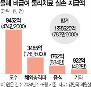 비급여 물리치료만 올 실손보험금 1.6조