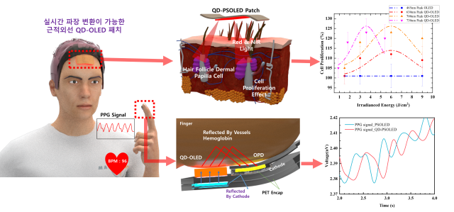모발 증식 및 심박수 측정용 고유연 QD-OLED 패치 플랫폼. 자료=한국연구재단