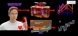 탈모 피부에 붙이면 23%까지 증식…양자점-OLED 패치 세계최초 개발 [사이언스포커스]