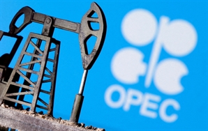 美대선 관망하는 OPEC+, 자발적 감산 한달 더 연장