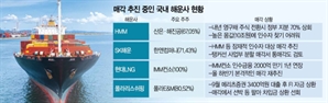 '주인 찾아주기' 급한데…해운정책이 안 보인다