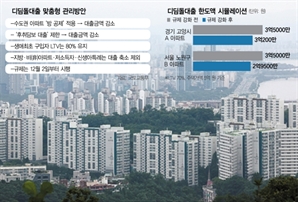 "2년내 디딤돌 집행 8조 줄어들 것" 노도강·경기외곽 타격