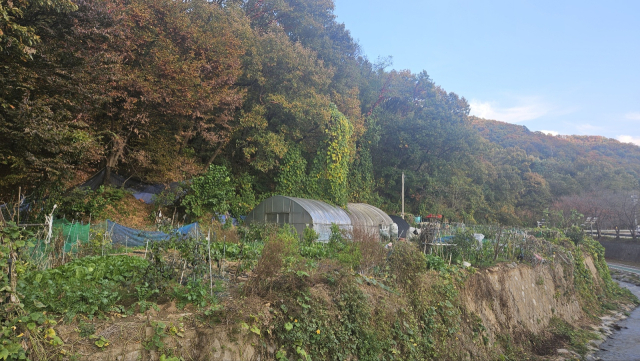 7일 그린벨트(개발제한구역) 해제가 결정된 서울 서초구 서리풀 지구. 비닐하우스와 농작물이 보인다. 백주연 기자