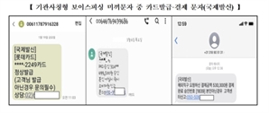 ‘OO카드 해외승인 91만원’…불법 스팸 28억건 뿌린 전송업자 무더기 검거