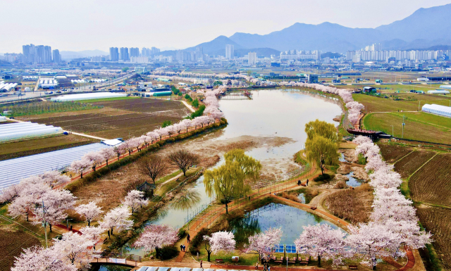 경북 구미 지산샛강생태공원. 사진제공=산림청